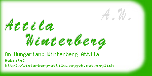 attila winterberg business card